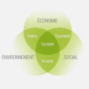 rse-schema